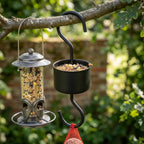 EdenCraft Artisan Twisted Glass Hummingbird Feeder