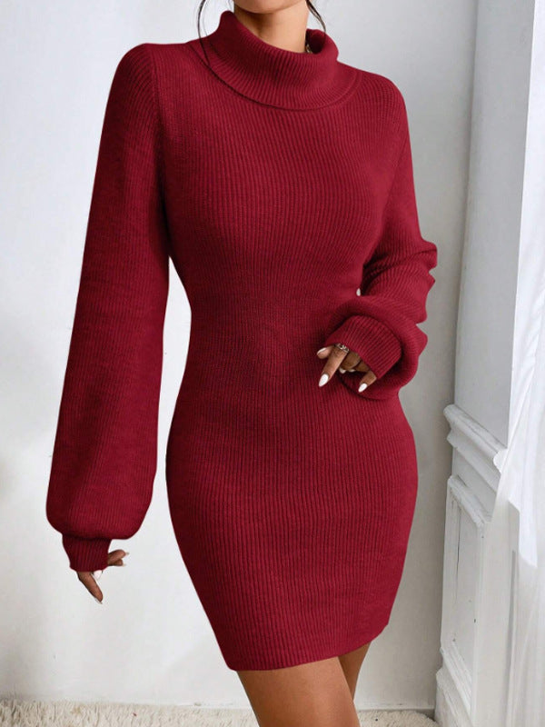 Penelope Ribbed Knit Turtleneck Mini Dress