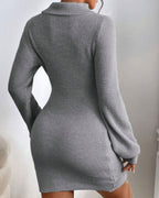 Penelope Ribbed Knit Turtleneck Mini Dress