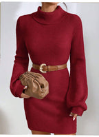 Penelope Ribbed Knit Turtleneck Mini Dress