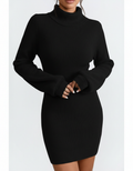 Penelope Ribbed Knit Turtleneck Mini Dress