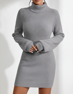 Penelope Ribbed Knit Turtleneck Mini Dress